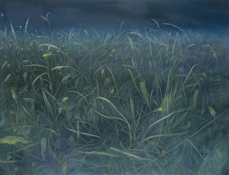 Lying in the Grass 들판에서